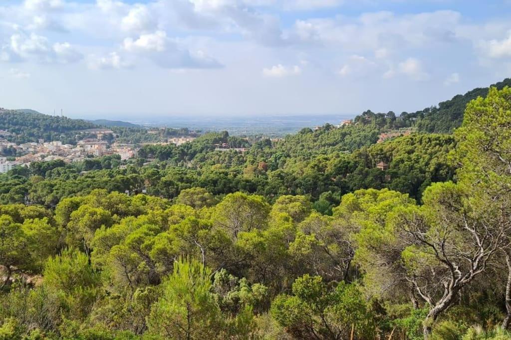 Acogedor Chalet Familiar En La Sierra Calderona Náquera Екстериор снимка
